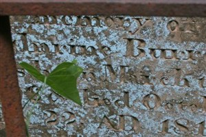 Catherine Clardy Burrow Catherine Clardy Burrow