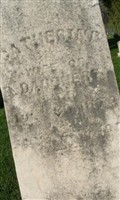 Catherine Daugherty