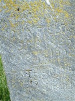 Catherine Dec Fields