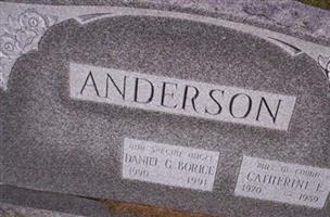 Catherine E Anderson