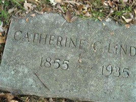 Catherine E Cook Lindsey