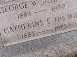 Catherine E Johnston