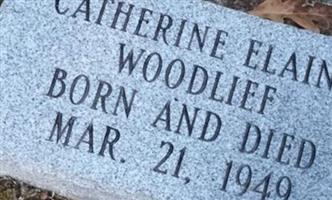 Catherine Elaine Woodlief