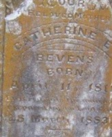 Catherine Elizabeth McGuire Bevens