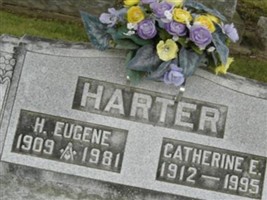 Catherine Ellen Mendenhall Harter