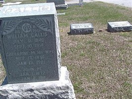 Catherine Fuller Callis Catherine Fuller Callis