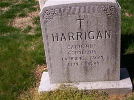 Catherine Harrigan