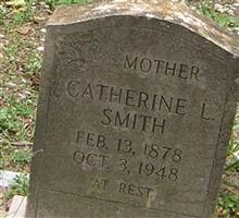 Catherine L Smith