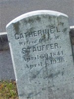 Catherine L Stauffer