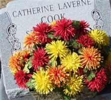 Catherine Laverne Krticka Cook