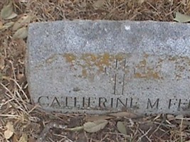 Catherine M Fee