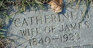 Catherine M. Flanagan Catherine M. Flanagan