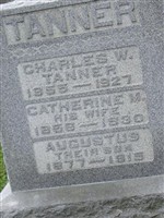 Catherine M Tanner