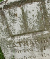 Catherine Mort