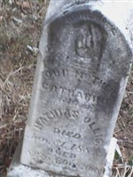 Catherine Ollis