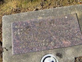 Catherine P Gibbs