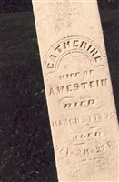 Catherine Springer Heidlebaugh Wegstein Catherine Springer Heidlebaugh Wegstein