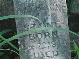 Catherine Stone