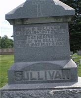 Catherine Sullivan