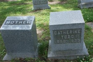 Catherine Todd
