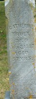 Catherine Truex Catherine Truex
