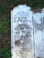 Catherine Walling Catherine Walling
