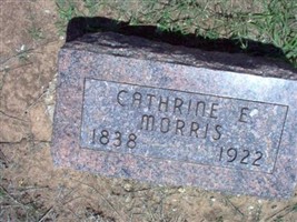 Cathrine Early House Morris