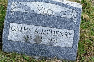 Cathy A McHenry