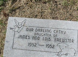 Cathy Jena Brewster Cathy Jena Brewster
