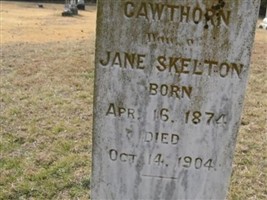 Cawthorn Skelton Cawthorn Skelton