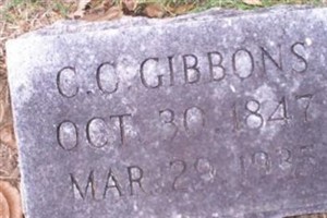 C C Gibbons