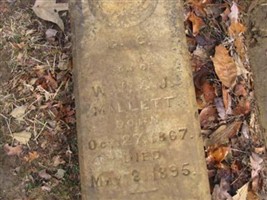 C C Mallett