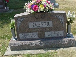 Cecelia Allen Sasser Cecelia Allen Sasser