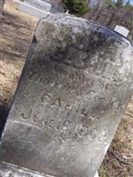 Cecelia Cahill