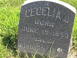 Cecelia J. Van Fleet Cecelia J. Van Fleet