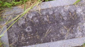 Cecelia M. Wendling Barnes Cecelia M. Wendling Barnes