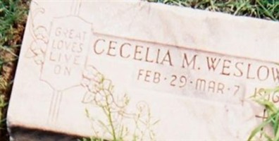 Cecelia M Weslow Cecelia M Weslow