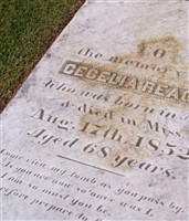 Cecelia Reagin