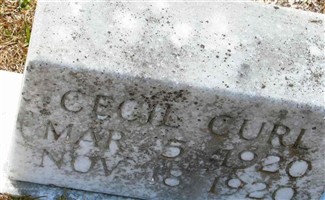 Cecil Curl (1893217.jpg)