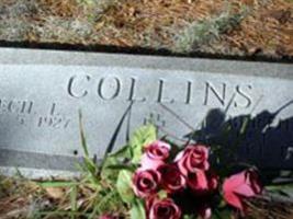 Cecil L. Collins