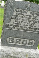 Cecil Sylvester Groh Cecil Sylvester Groh