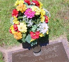 Cecilia A. Kuza Cecilia A. Kuza