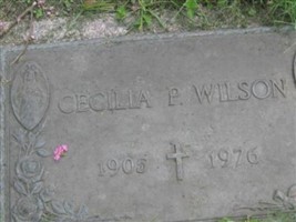 Cecilia Castano Wilson