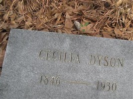 Cecilia Dyson Cecilia Dyson