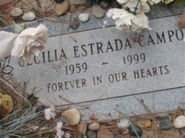 Cecilia Estrada Campos