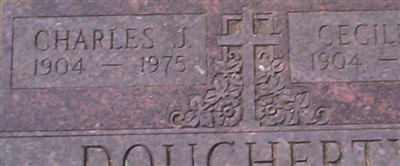 Cecilia J Dougherty