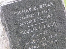 Cecilia L Field Wells Cecilia L Field Wells