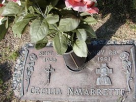 Cecilia Navarrette