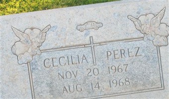 Cecilia Perez
