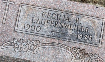 Cecilia R Laufersweiler Cecilia R Laufersweiler